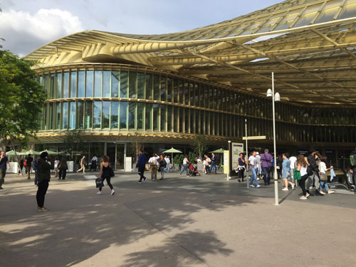 La canopée La canopée
