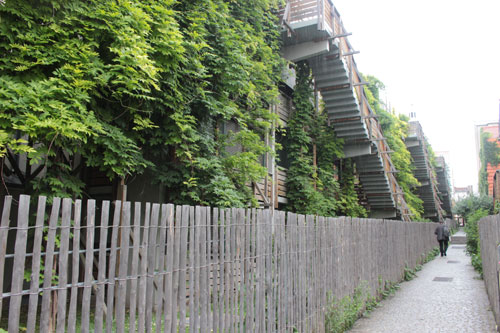 logements « Eden Bio » : les escaliers et les glycines logements « Eden Bio » : les escaliers et les glycines