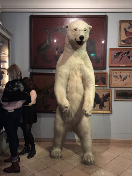 le musée de la Chasse : un ours polaire plus vrai que nature accueille les visiteurs le musée de la Chasse : un ours polaire plus vrai que nature accueille les visiteurs