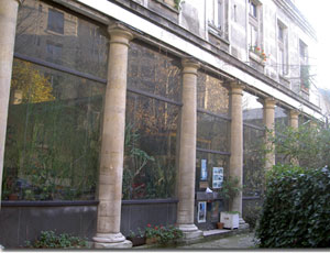 L' ancienne orangerie - hôtel Mascarini L' ancienne orangerie - hôtel Mascarini