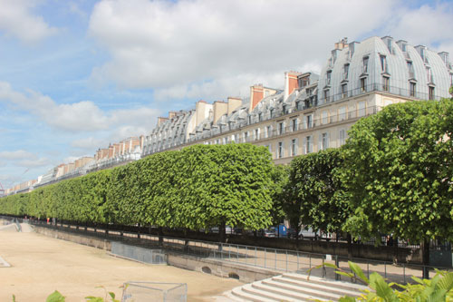 La rue de Rivoli - Vue du jardin des Tuileries La rue de Rivoli - Vue du jardin des Tuileries