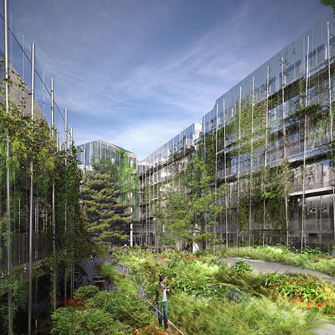 Bureaux Le Garance : jardin intérieur Bureaux Le Garance : jardin intérieur